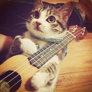 免费裸体视频网站暗夜
